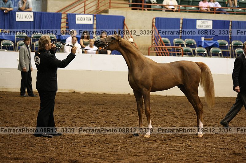 Proof 08r12_3339
