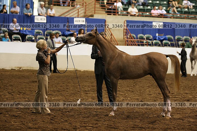 Proof 08r12_3340