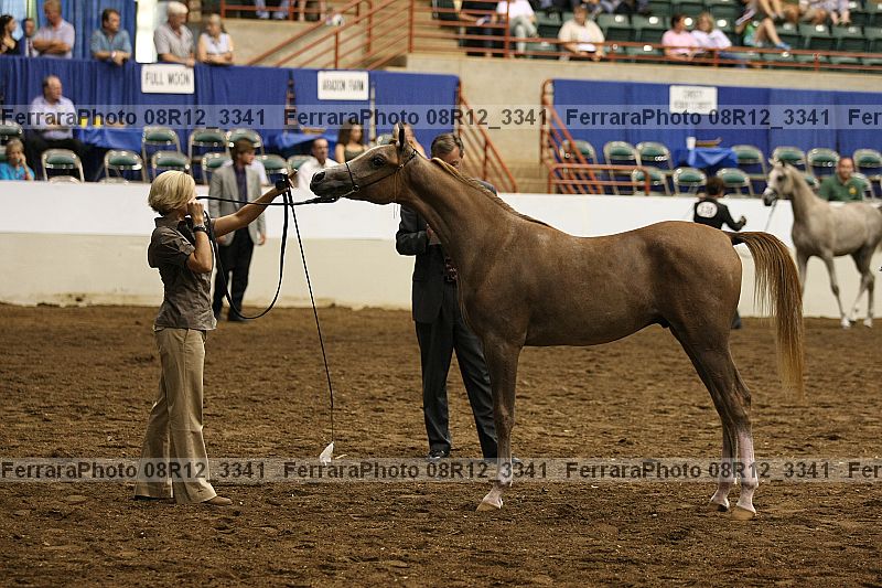Proof 08r12_3341