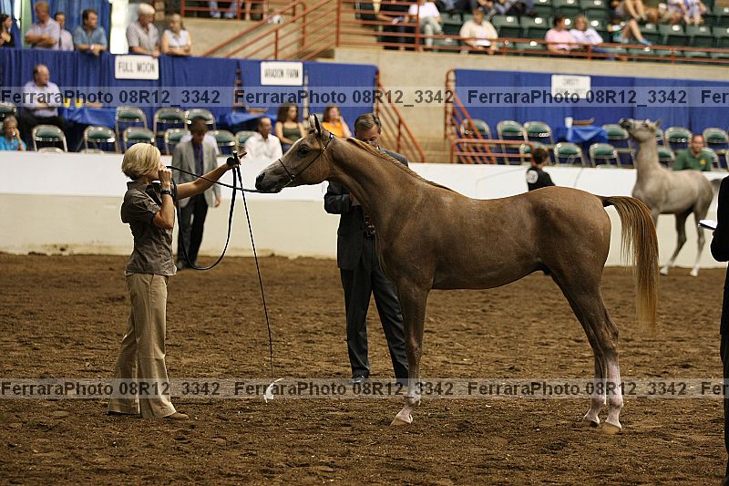 Proof 08r12_3342