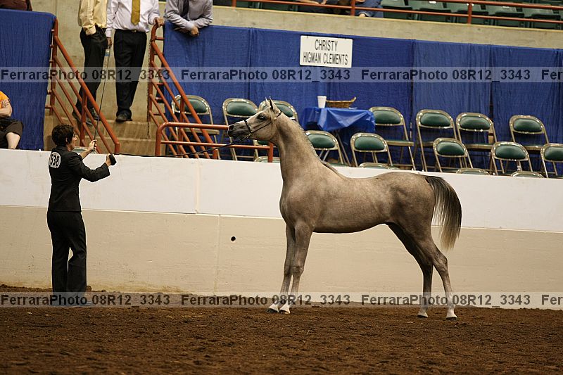 Proof 08r12_3343
