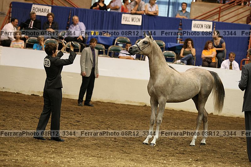 Proof 08r12_3344