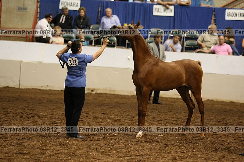 Proof 08r12_3345