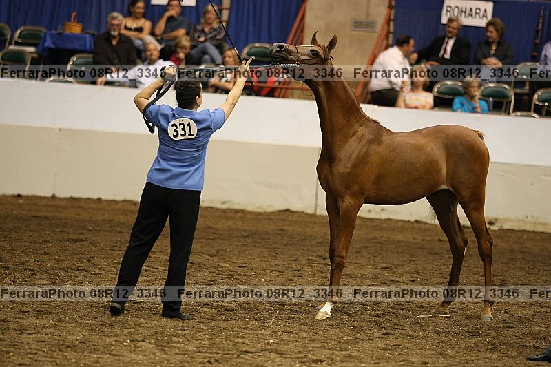 Proof 08r12_3346