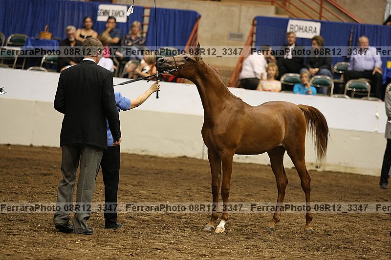 Proof 08r12_3347