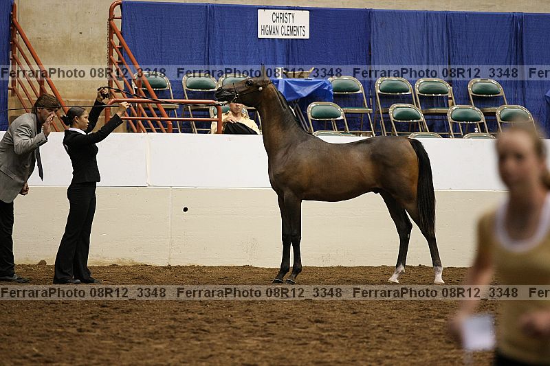 Proof 08r12_3348