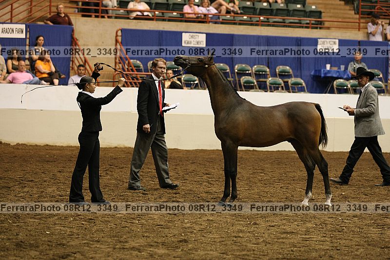 Proof 08r12_3349