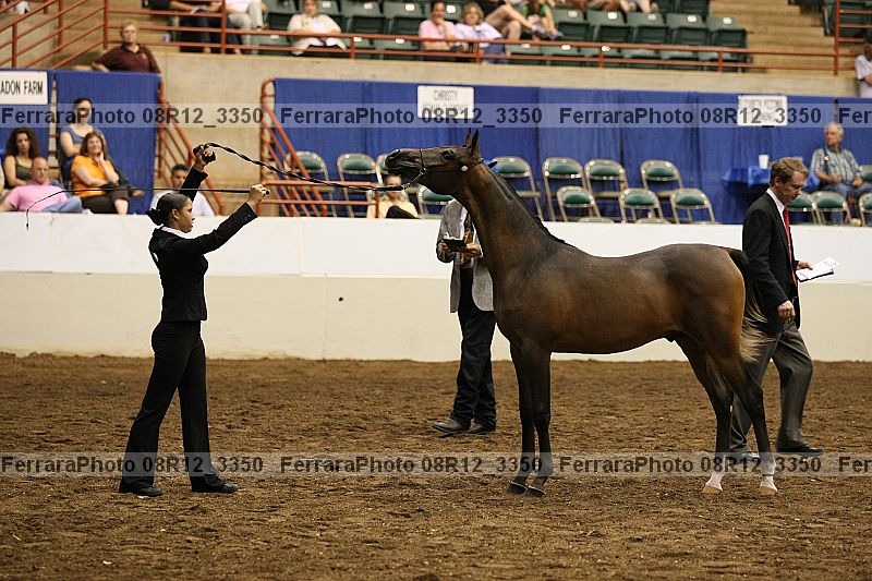 Proof 08r12_3350