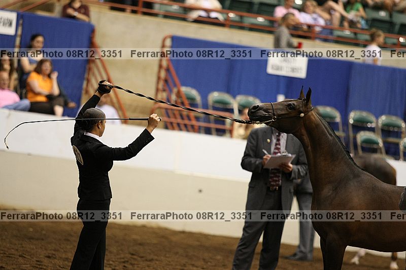 Proof 08r12_3351