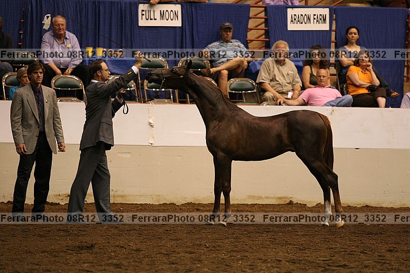 Proof 08r12_3352