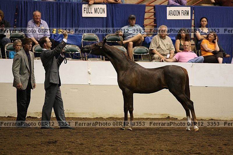 Proof 08r12_3353