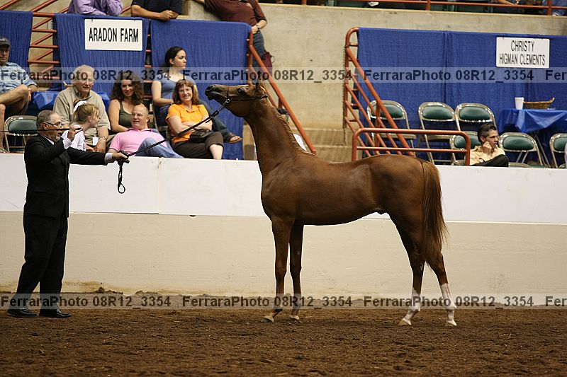 Proof 08r12_3354