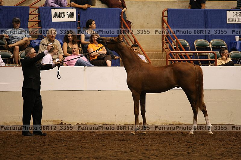 Proof 08r12_3355
