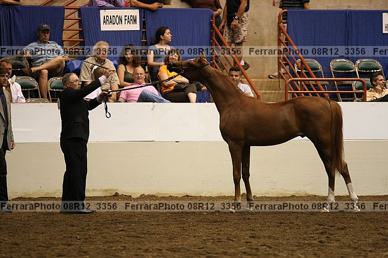 Proof 08r12_3356