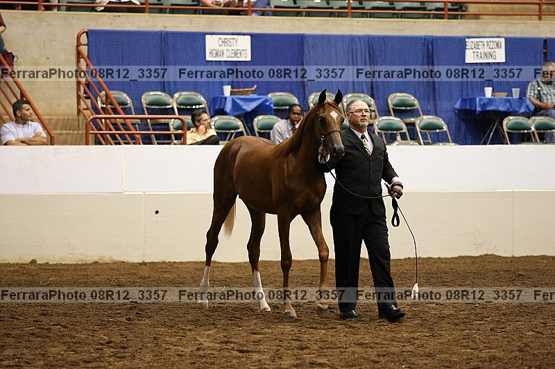 Proof 08r12_3357