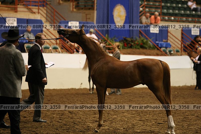 Proof 08r12_3358