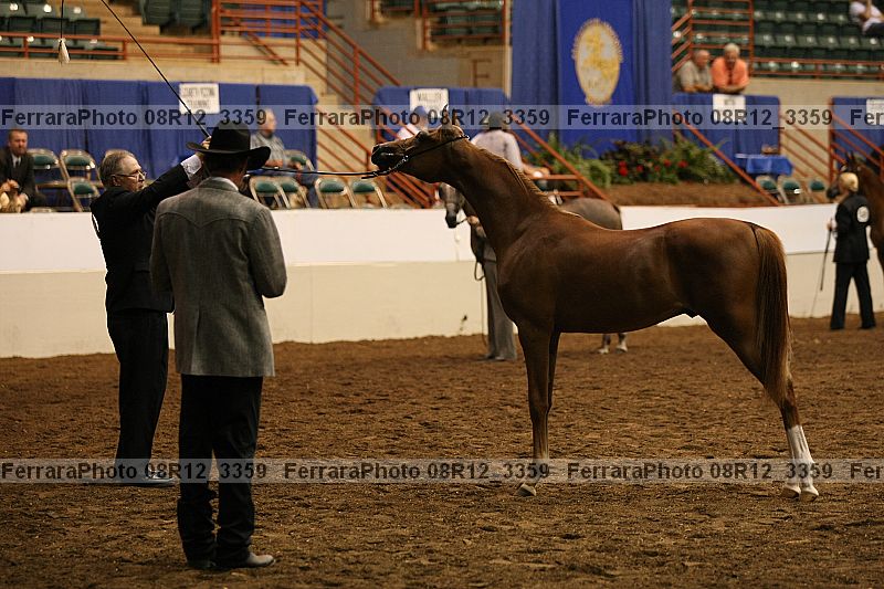 Proof 08r12_3359