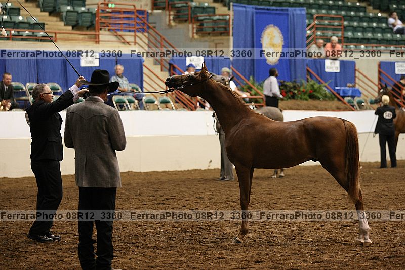 Proof 08r12_3360