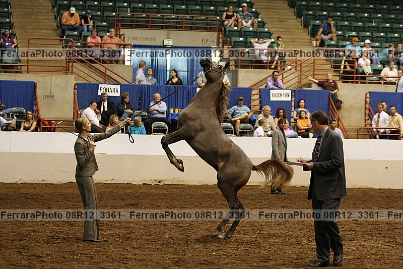 Proof 08r12_3361