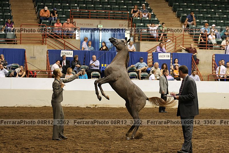 Proof 08r12_3362