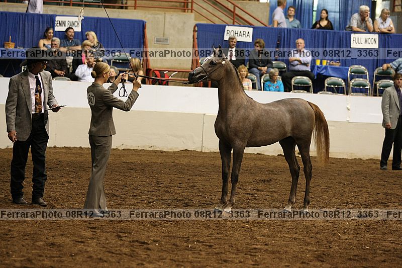 Proof 08r12_3363