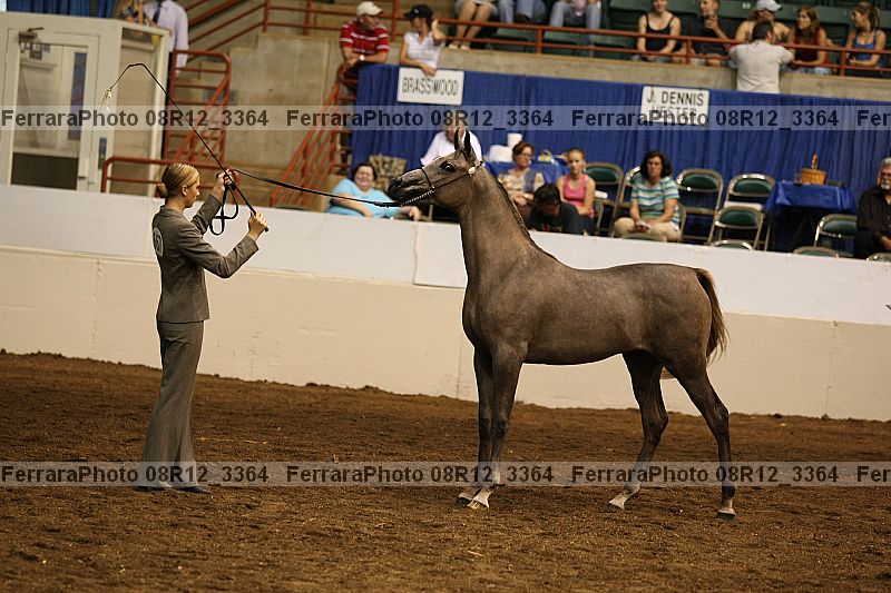 Proof 08r12_3364