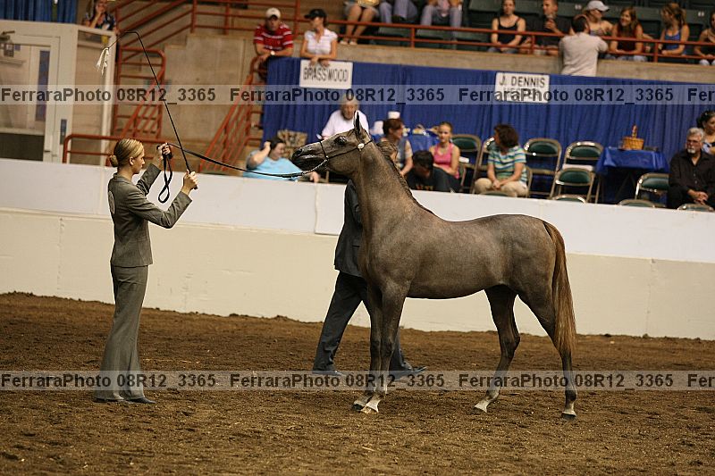 Proof 08r12_3365