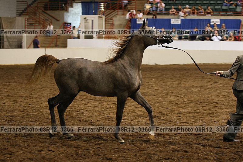 Proof 08r12_3366