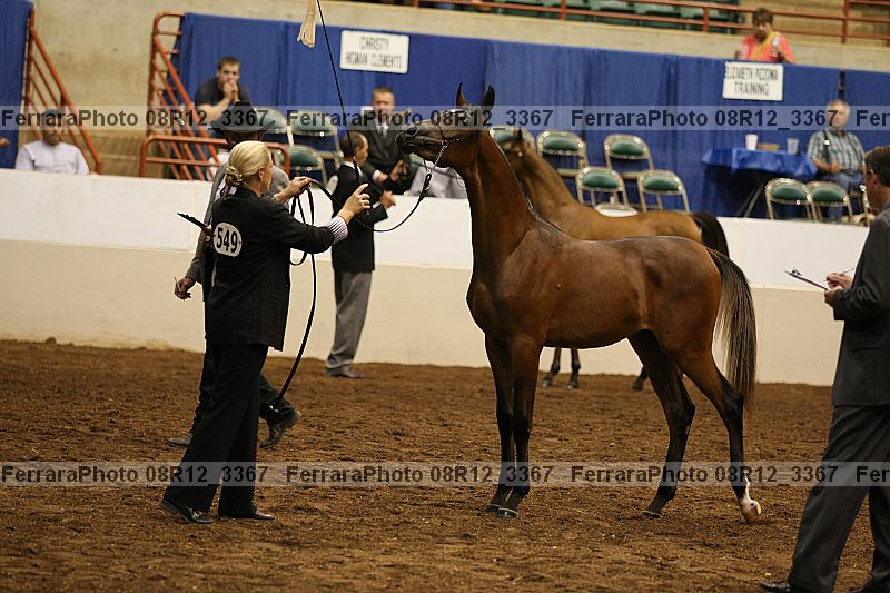Proof 08r12_3367