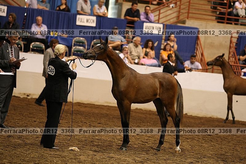 Proof 08r12_3368