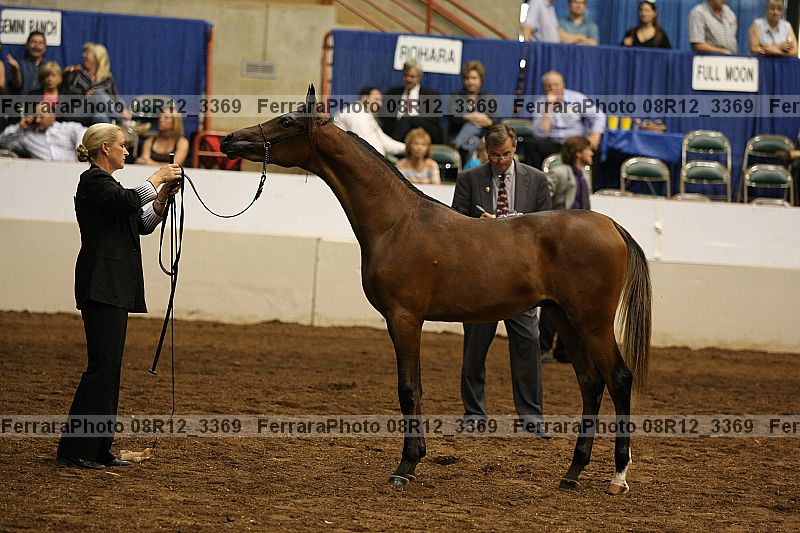 Proof 08r12_3369