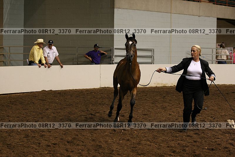 Proof 08r12_3370
