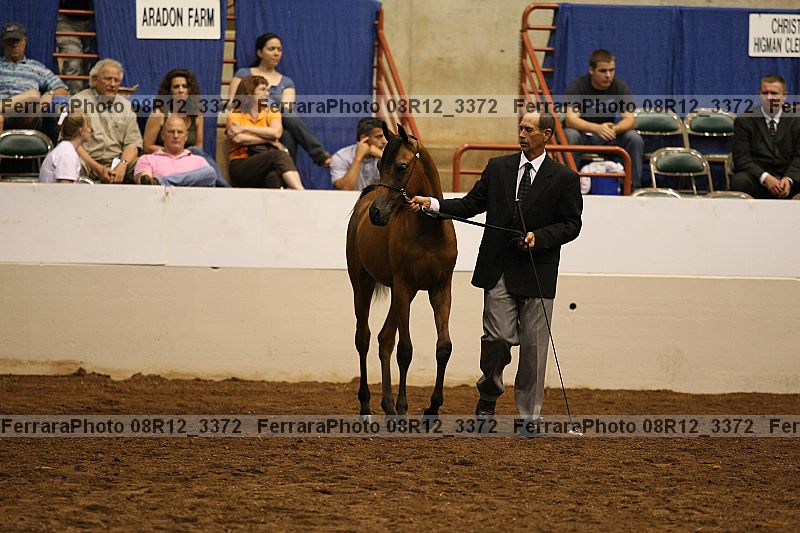 Proof 08r12_3372