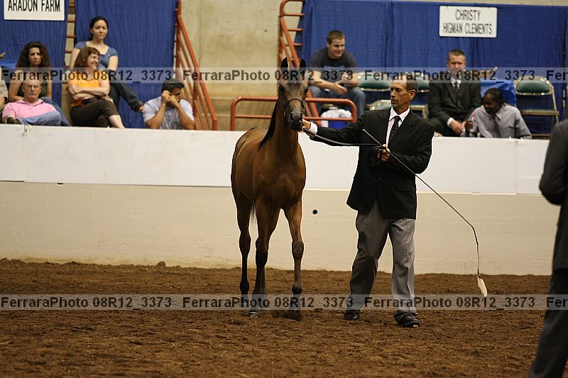 Proof 08r12_3373
