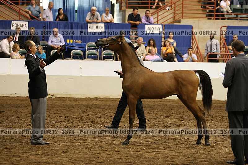 Proof 08r12_3374