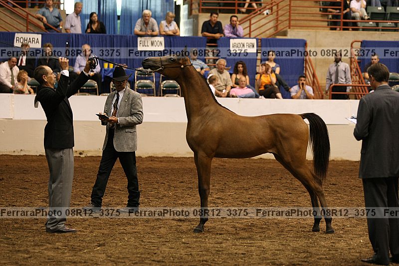 Proof 08r12_3375