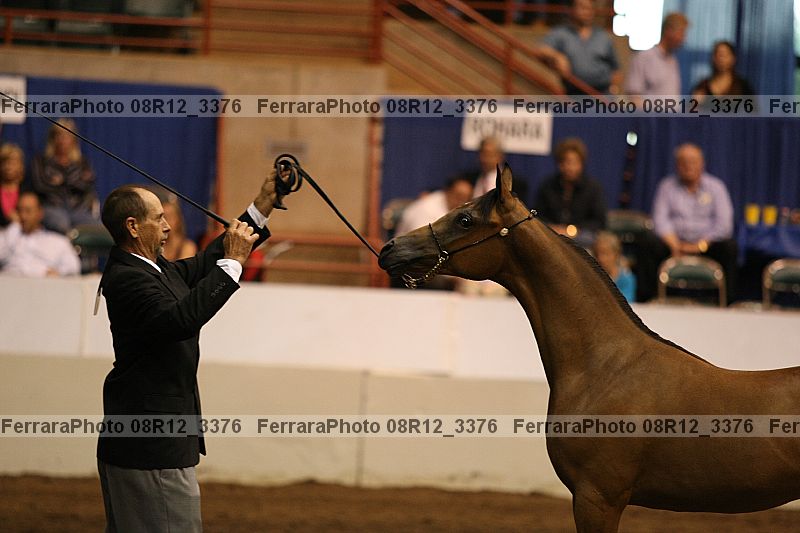 Proof 08r12_3376