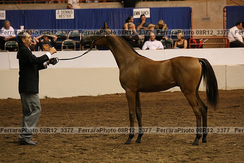 Proof 08r12_3377