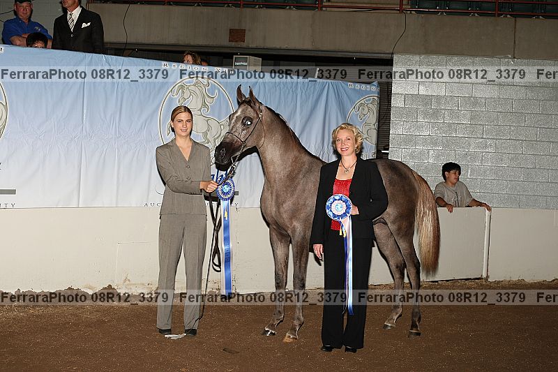 Proof 08r12_3379