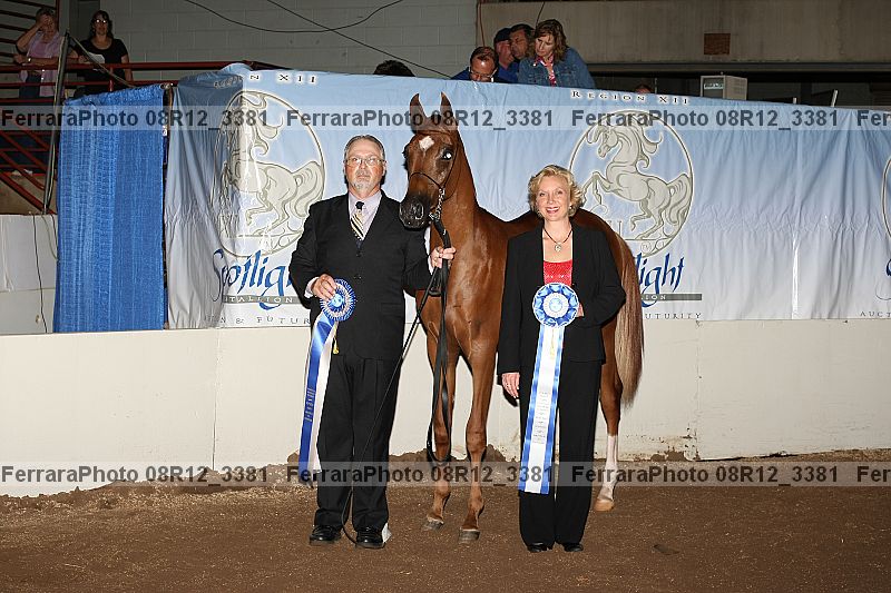 Proof 08r12_3381
