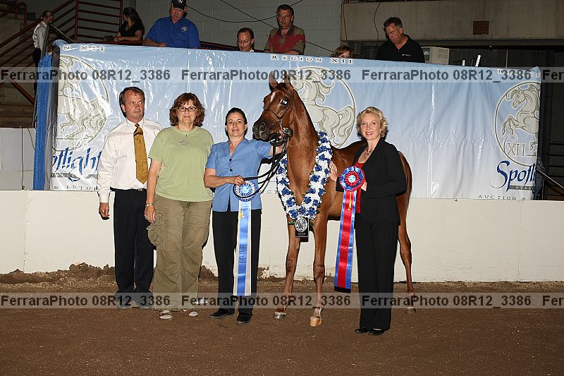 Proof 08r12_3386