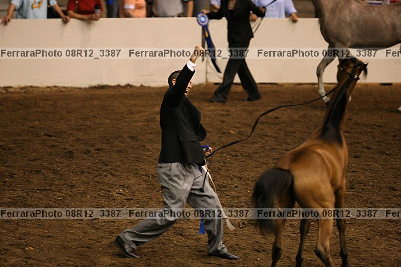 Proof 08r12_3387
