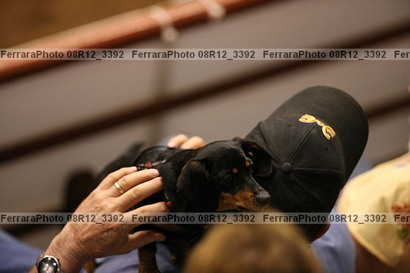 Proof 08r12_3392