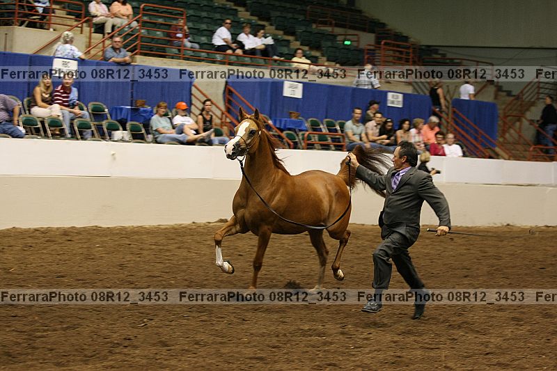 Proof 08r12_3453