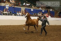 08r12_3453 proof