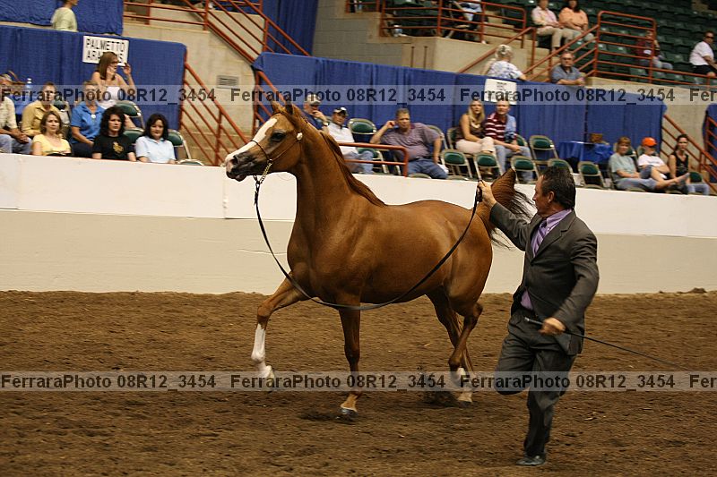 Proof 08r12_3454