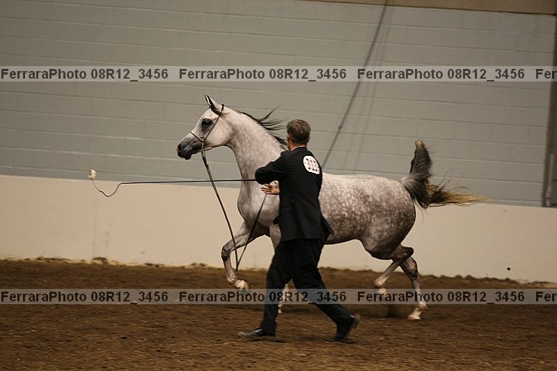 Proof 08r12_3456