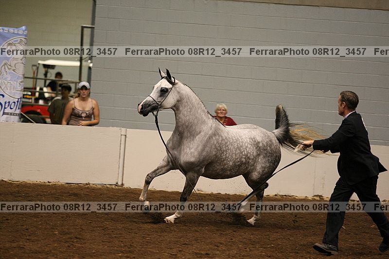 Proof 08r12_3457