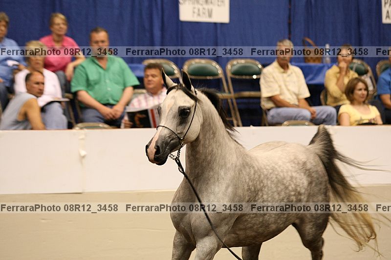 Proof 08r12_3458