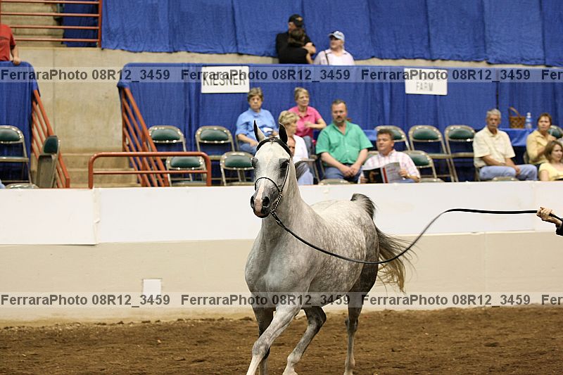 Proof 08r12_3459